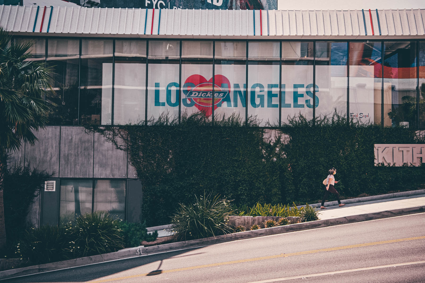 Fred Segal x Dickies